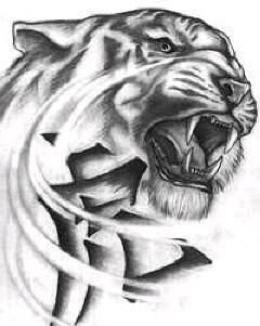 Владислав Игнатенко