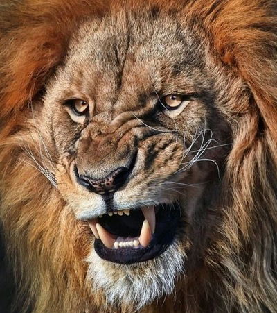 Рустем Иззетов