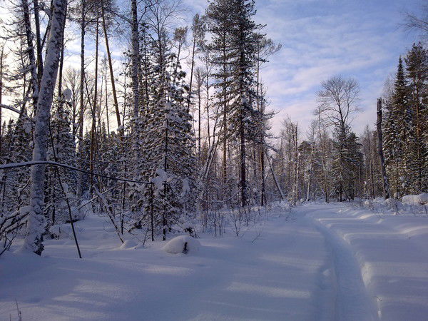 Максим Кайгородов