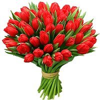 Назира Шокыбаева