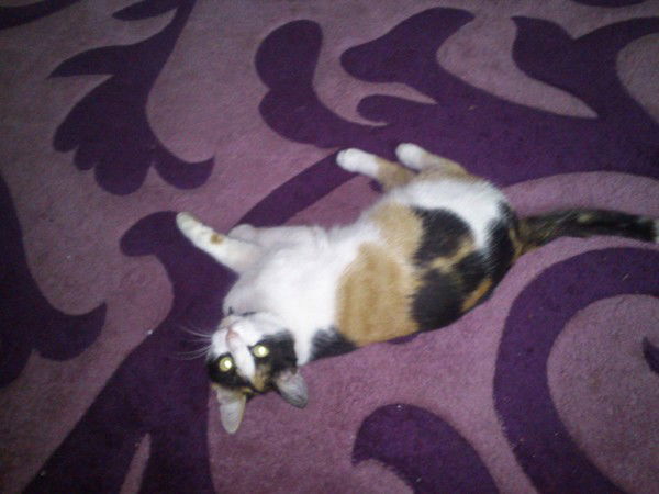 Диана Джуринская