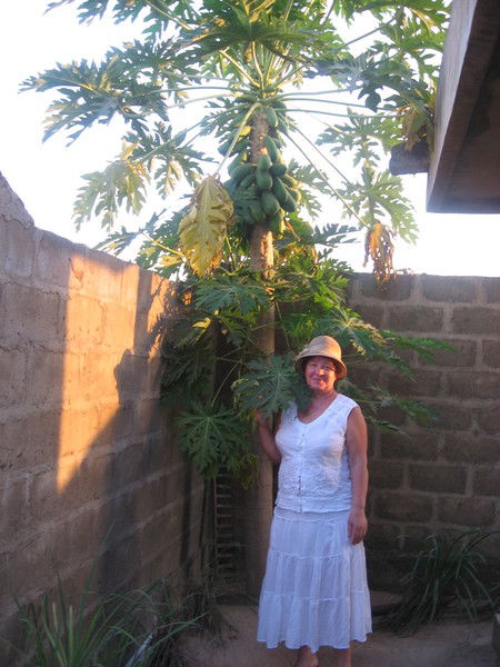 Анна Кочетова