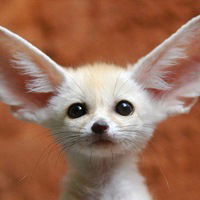 Екатерина Трипадуш