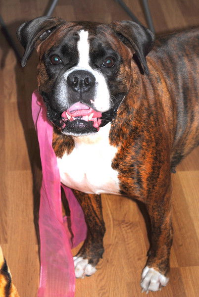 Екатерина Нагорская