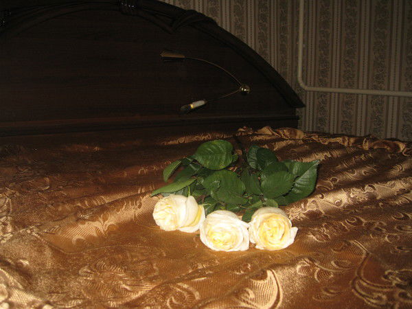 Елена Когтева