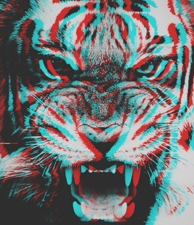 Ерхан Досмухамбетов