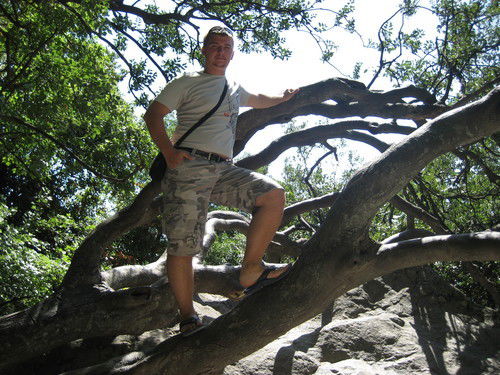 Алексей Осипов