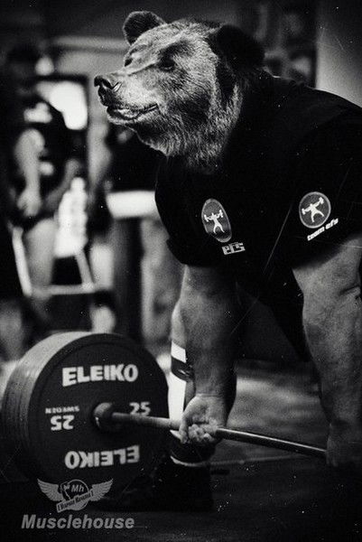 Руслан Мамедов