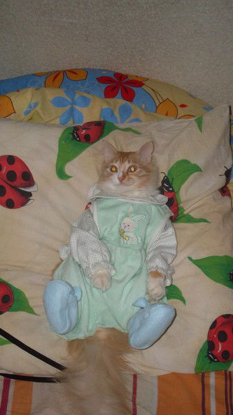 Дмитрий Королёв