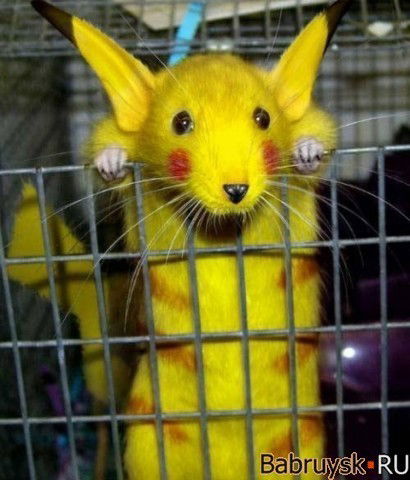 Пётр Ишанов