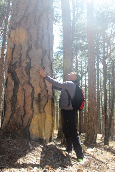 Сергей Чернышов