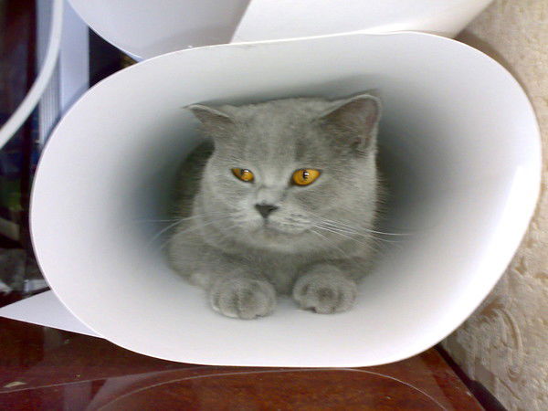 Ирина Пузан (Власова)