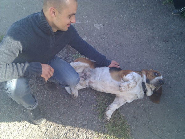 Александр Королецкий