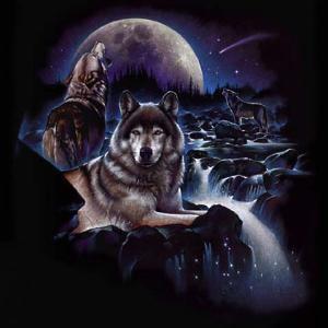 Сергей Власов