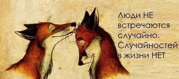 Александра Зимарева