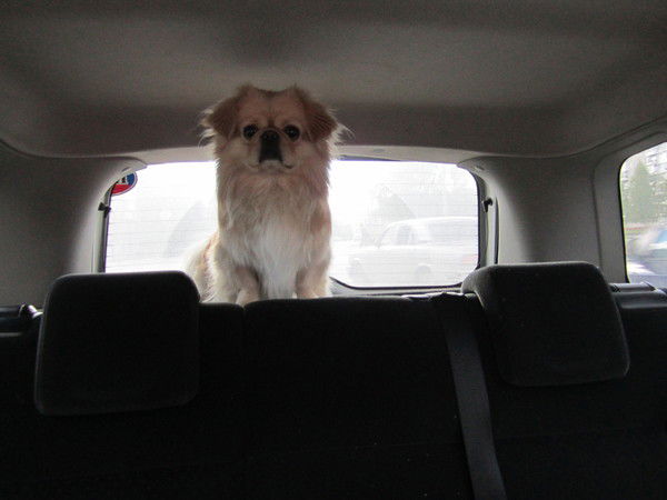 Ксения Сайфуллина