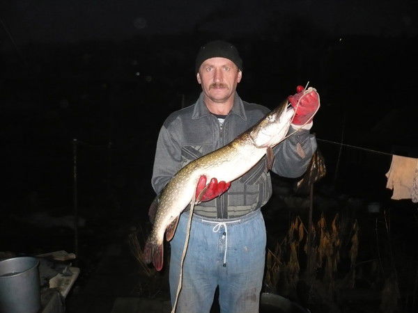 Николай Фролов