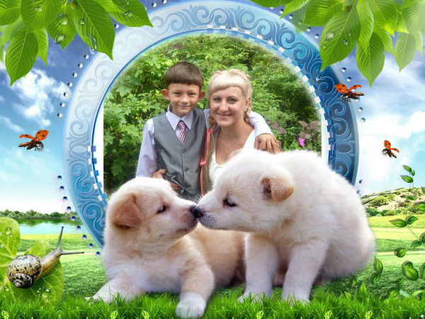 Влад Аладин