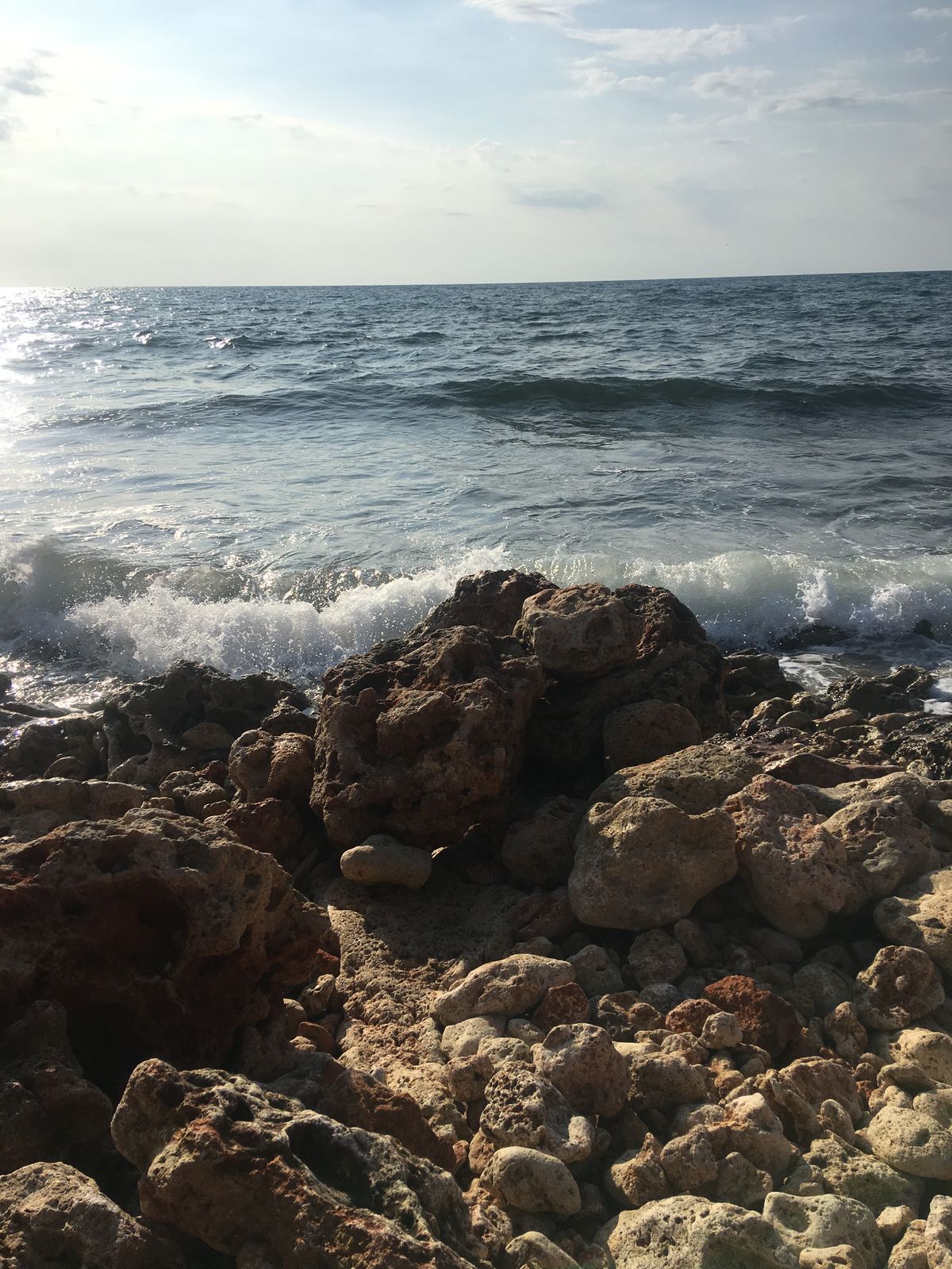 Александр Дмитриев