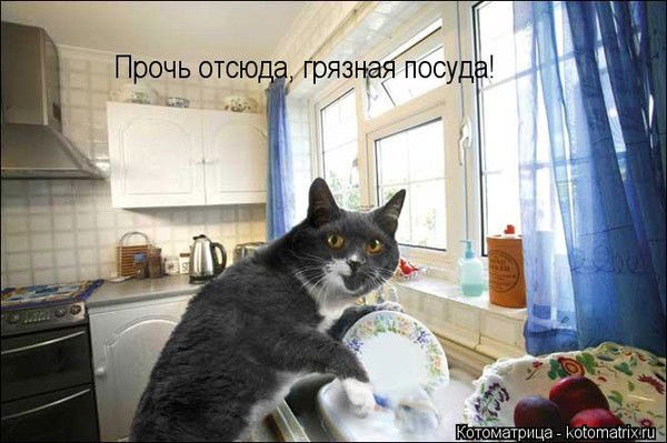 Татьяна Роговская