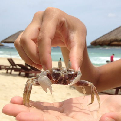 Алина Шепель