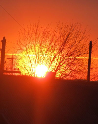 Катя Сбитнева