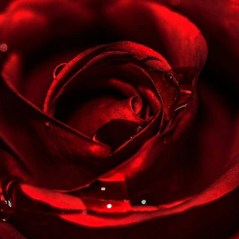 Амана Коробаева