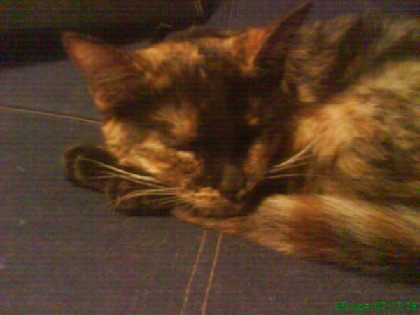 Светлана Гусева