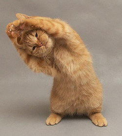 Александр Шуваев