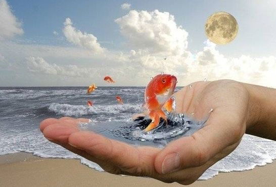 Айгуль Сайфуллина