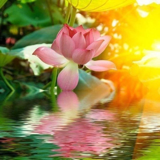 Акбота Курмангазыевна