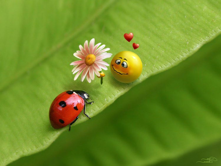 Алла Шинкоренко