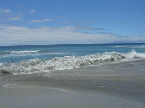 Елена Комова