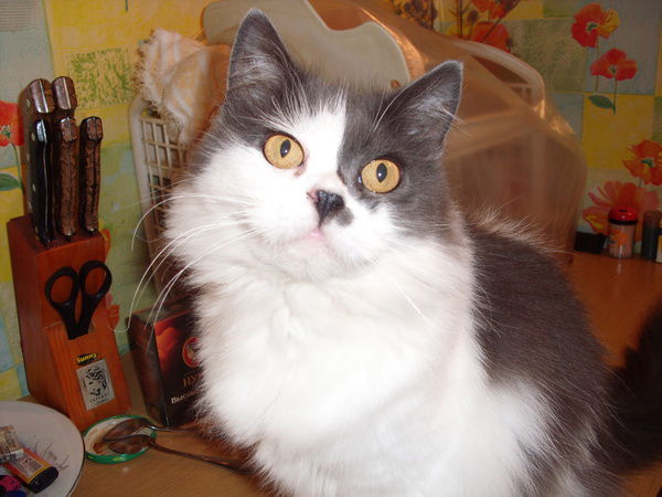 Галина Бакаева