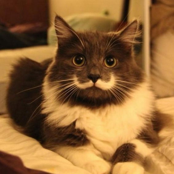 Лена Гулидова