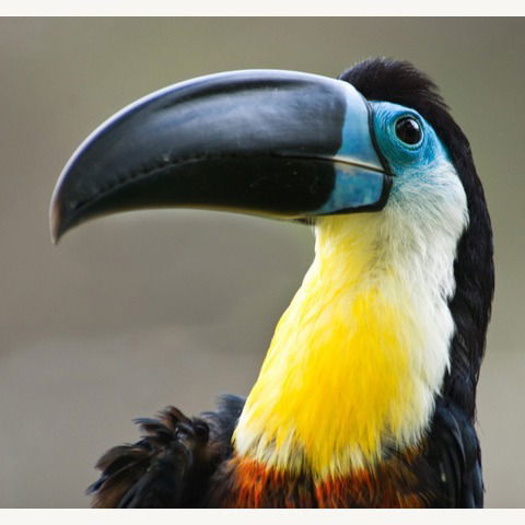 Валера Чернышев