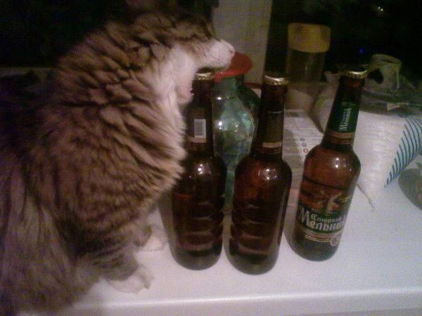 Андрей Шнюков