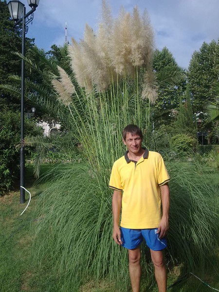 Александр Кузьмин