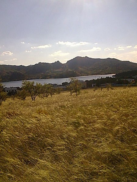 Раушан Мадиярова