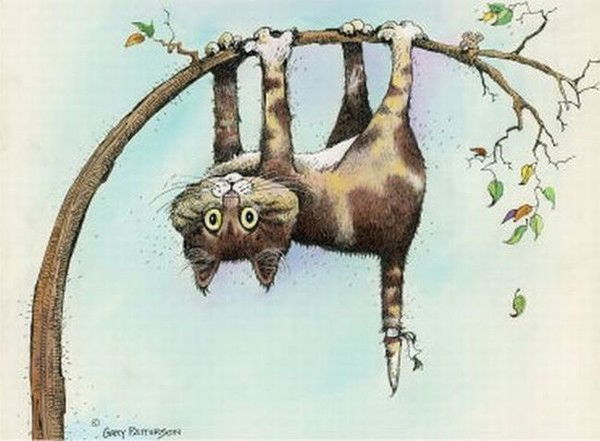 Юлия Типанова