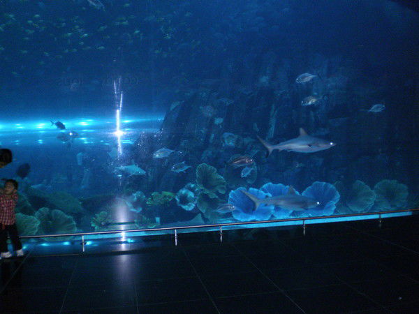 Алинка Абжапар