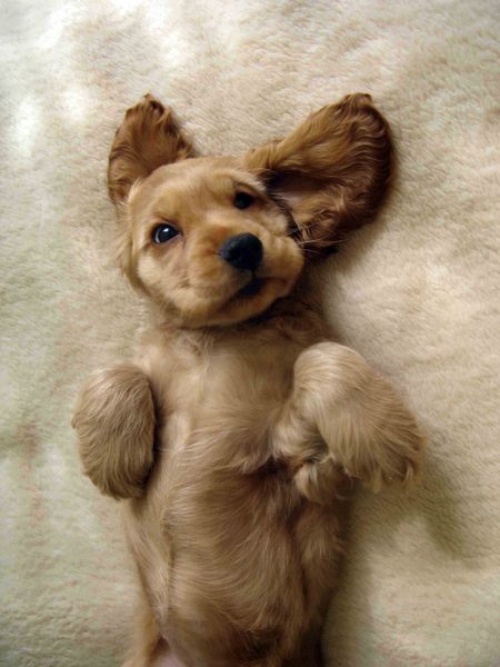 Ольга Новожилова