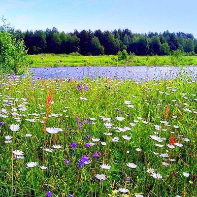 Елена Иванова