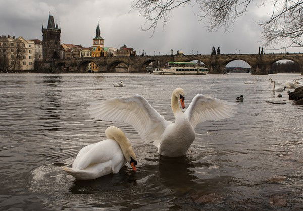 Валентина Корнийчук