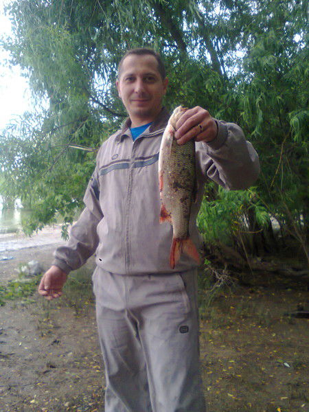 Владимир Раевич