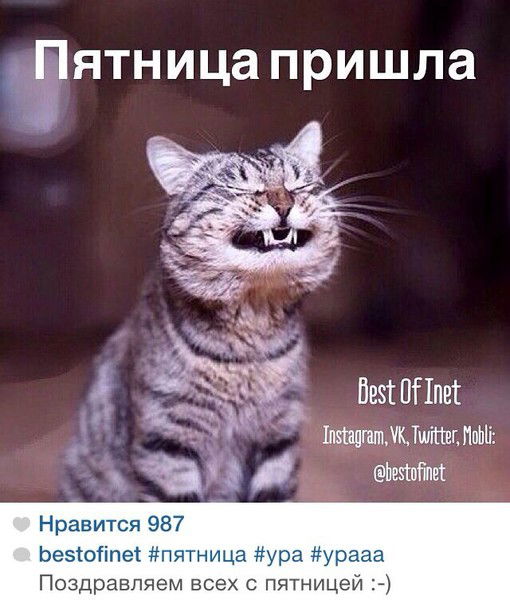 Мадина Бауыржан