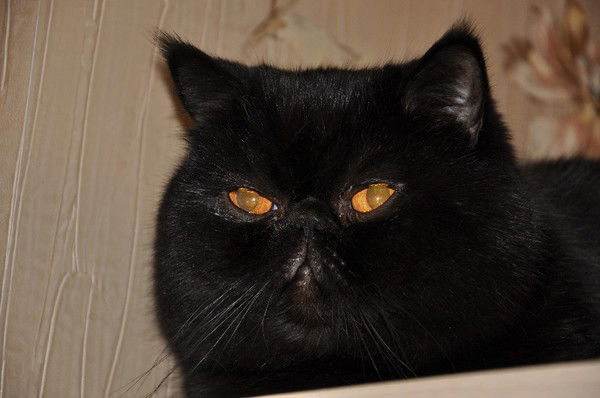 Сергей Виноградов