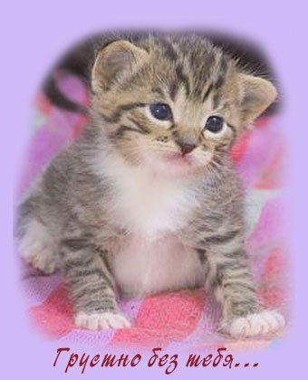 Арменуи Мартиросян