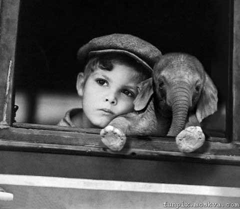 Сергей Кудин