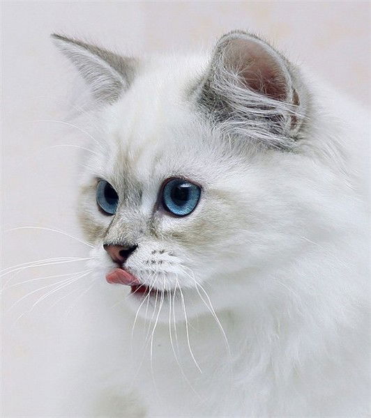 Надежда Казанцева